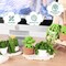 Crochet Kit for Beginners with Step by Step Video Lessons | 6 PC Potted Plants and Succulent Family Crochet Kit with Crochet Accessories(2025 New Version)